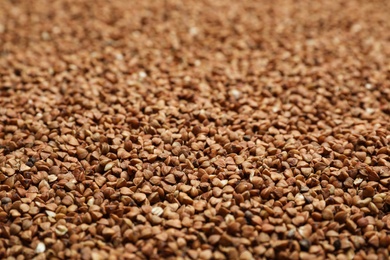 Photo of Uncooked organic buckwheat grains as background, closeup