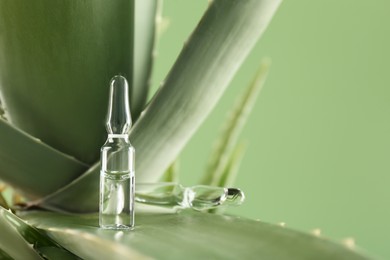 Photo of Skincare ampoules on aloe vera against light green background, closeup