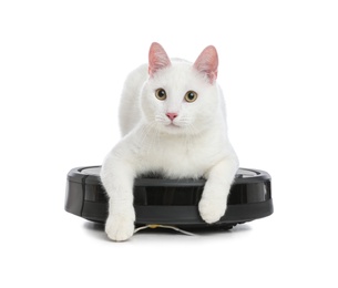 Modern robotic vacuum cleaner and cute cat on white background