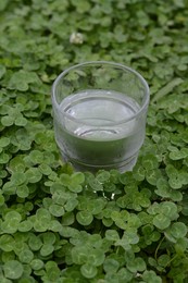 Glass of water in green clover outdoors