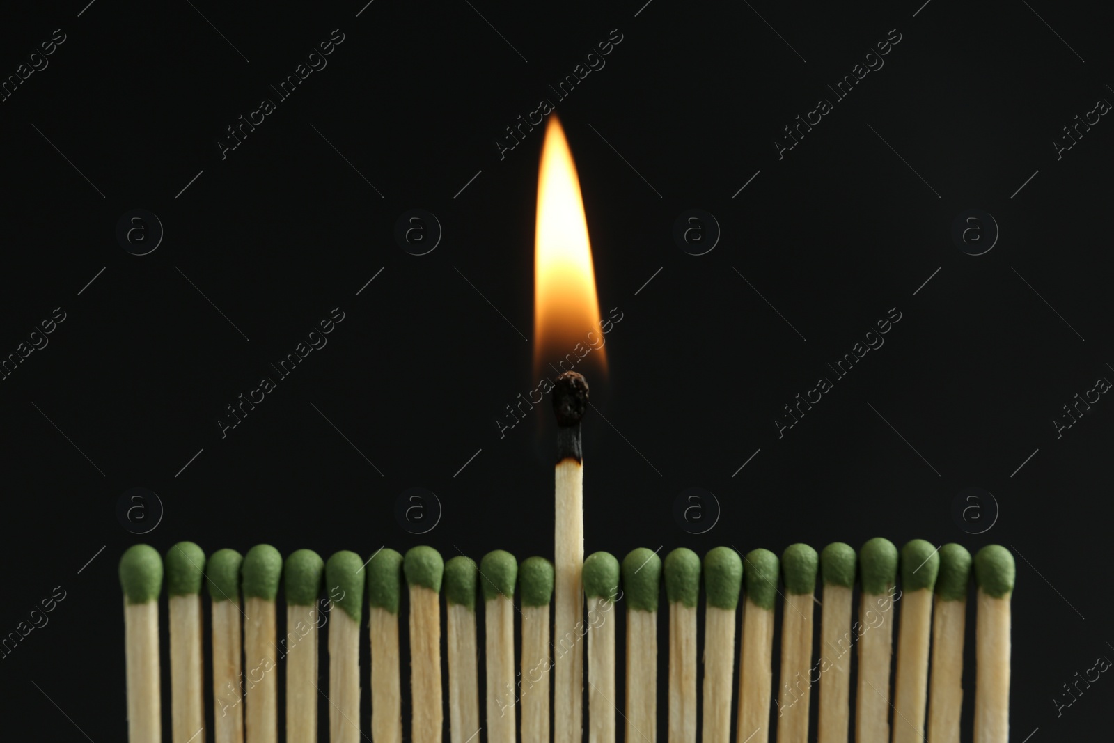 Photo of Burning match among unlit ones on black background, closeup