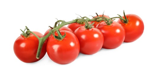 Branch with ripe cherry tomatoes isolated on white