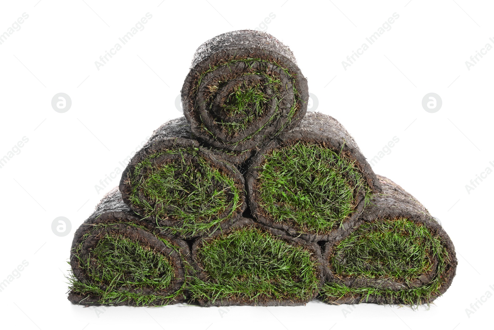 Photo of Rolls of grass sod on white background