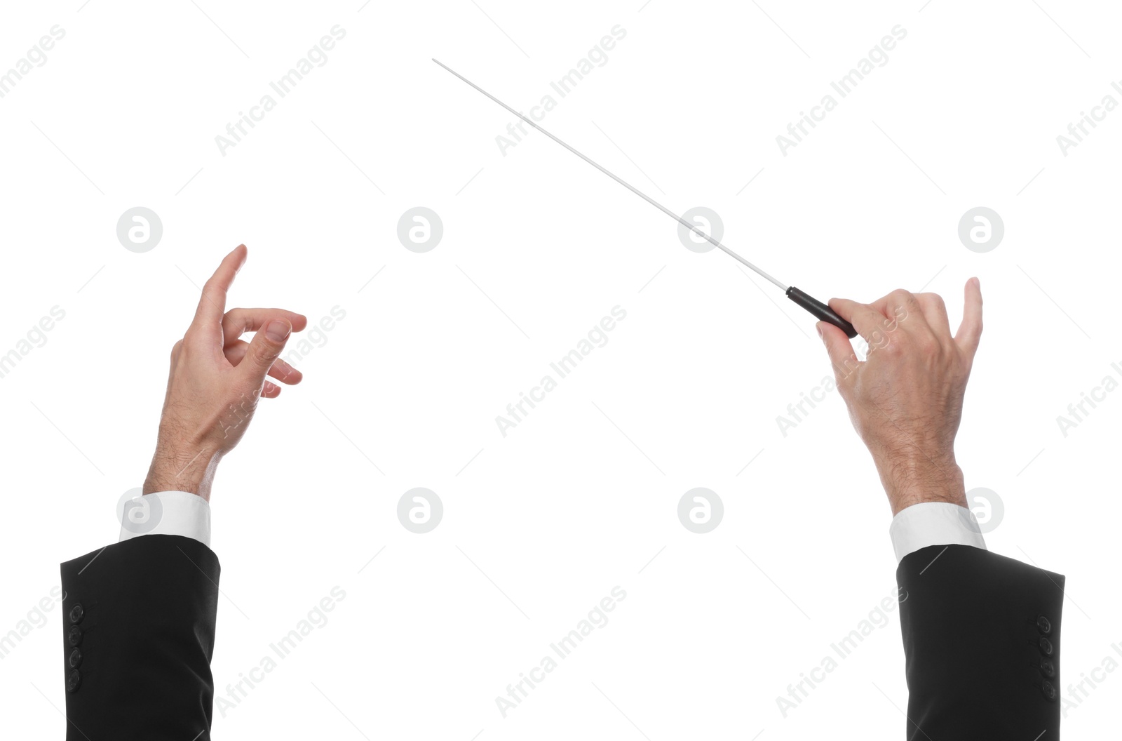 Photo of Professional conductor with baton on white background, closeup