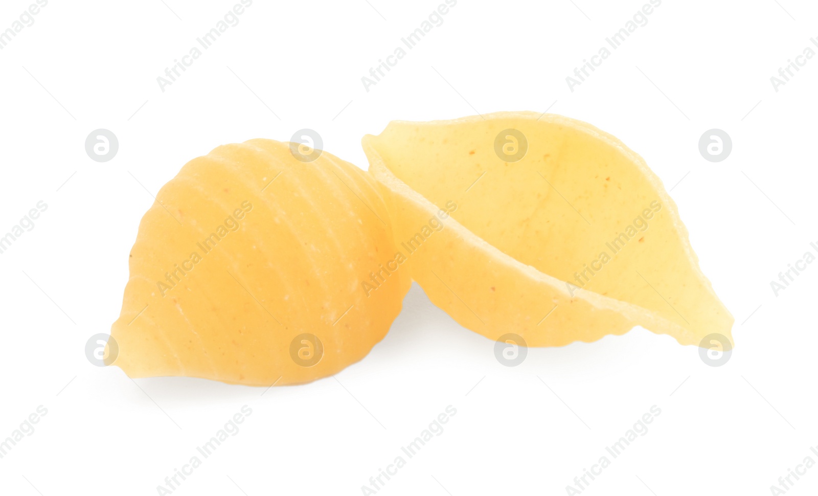 Photo of Raw conchiglie pasta isolated on white. Italian cuisine