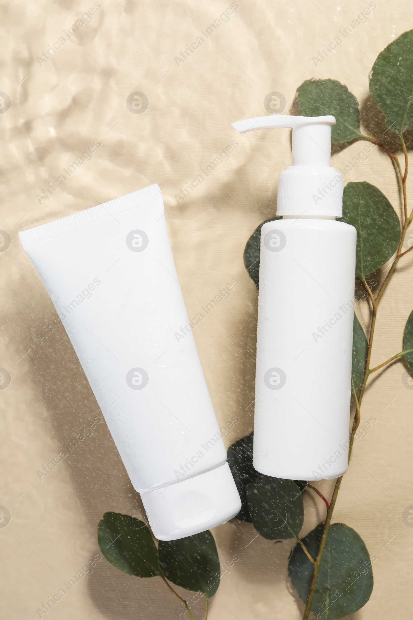 Photo of Eucalyptus leaves and face cleansing products in water against beige background, flat lay