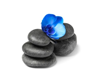 Photo of Spa stones with orchid flower on white background