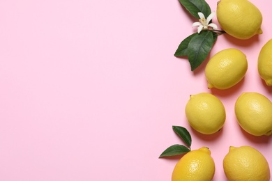 Photo of Fresh ripe lemons with green leaves and flower on pink background, flat lay. Space for text