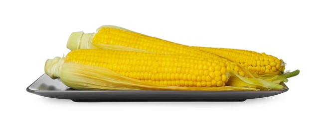 Photo of Plate with tasty cooked corn cobs on white background