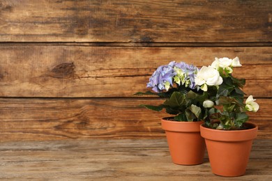 Different beautiful blooming plants in flower pots on wooden table, space for text