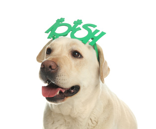 Photo of Labrador retriever with Irish party glasses on white background. St. Patrick's day