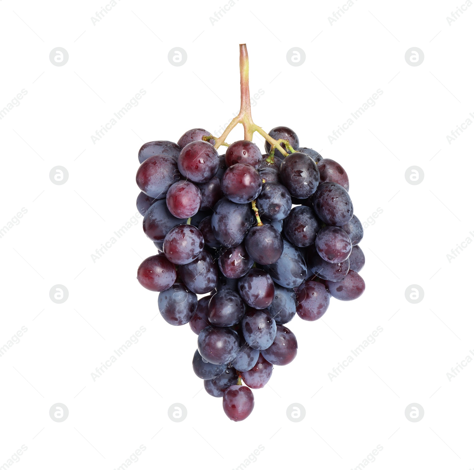 Photo of Bunch of fresh ripe juicy grapes isolated on white