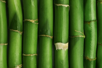 Photo of Pieces of beautiful wet green bamboo stems as background, top view