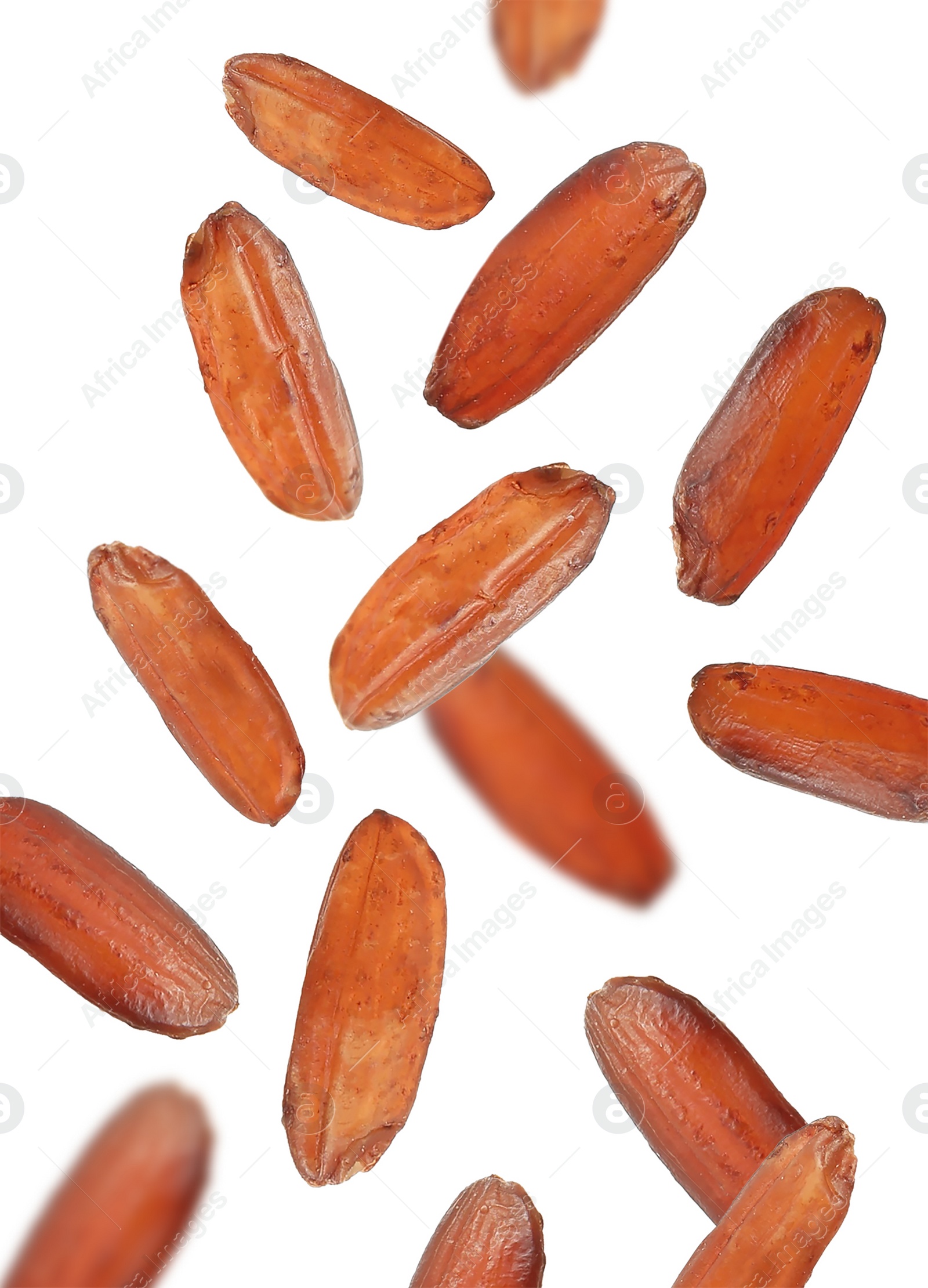 Image of Many brown rice falling on white background. Vegan diet  