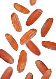 Many brown rice falling on white background. Vegan diet  