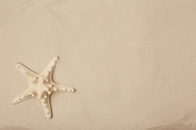 Starfish on beach sand, top view with space for text