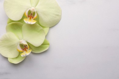 Beautiful orchid flowers on white marble table, flat lay. Space for text