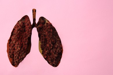 Photo of Top view of sumac through pink paper with human lungs shaped hole, space for text
