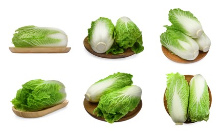 Boards with fresh tasty Chinese cabbages on white background, collage design