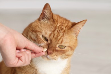 Photo of Woman giving vitamin pill to cute cat indoors, closeup