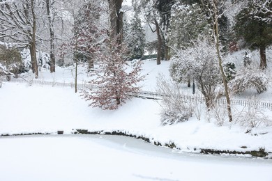 Photo of Trees covered with snow and frozen pond in winter park