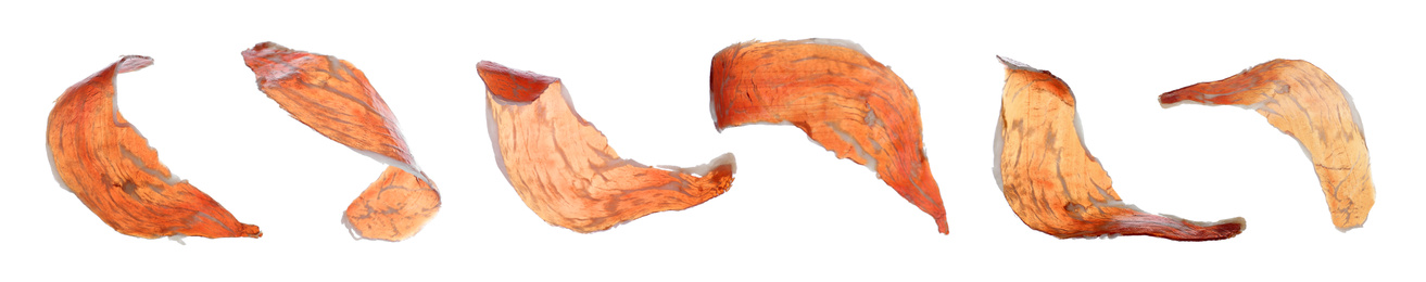 Image of Set of delicious sliced jamon on white background. Banner design 