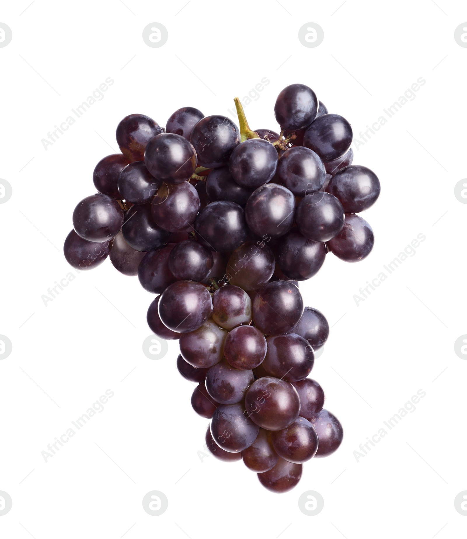 Photo of Bunch of fresh ripe juicy grapes isolated on white