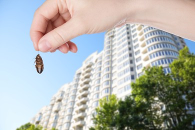 Image of Woman holding dead cockroach and blurred view of modern buildings on background. Pest control
