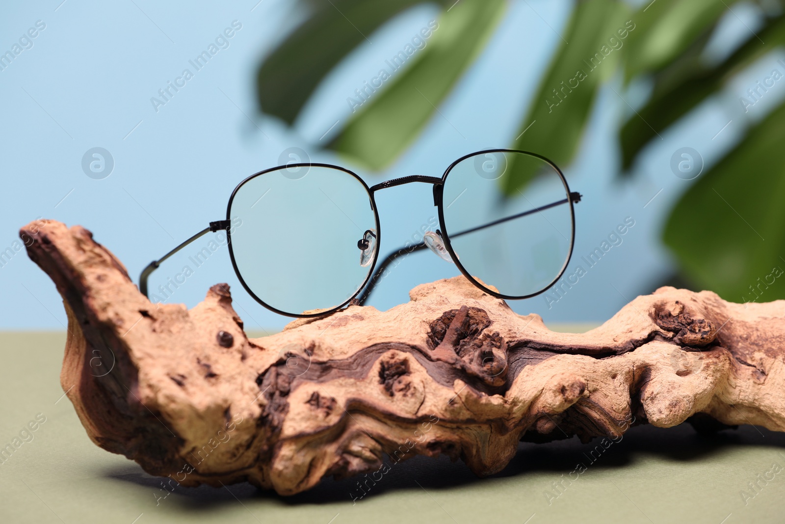 Photo of Stylish pair of glasses with black frame and wooden snag on olive table against blurred background