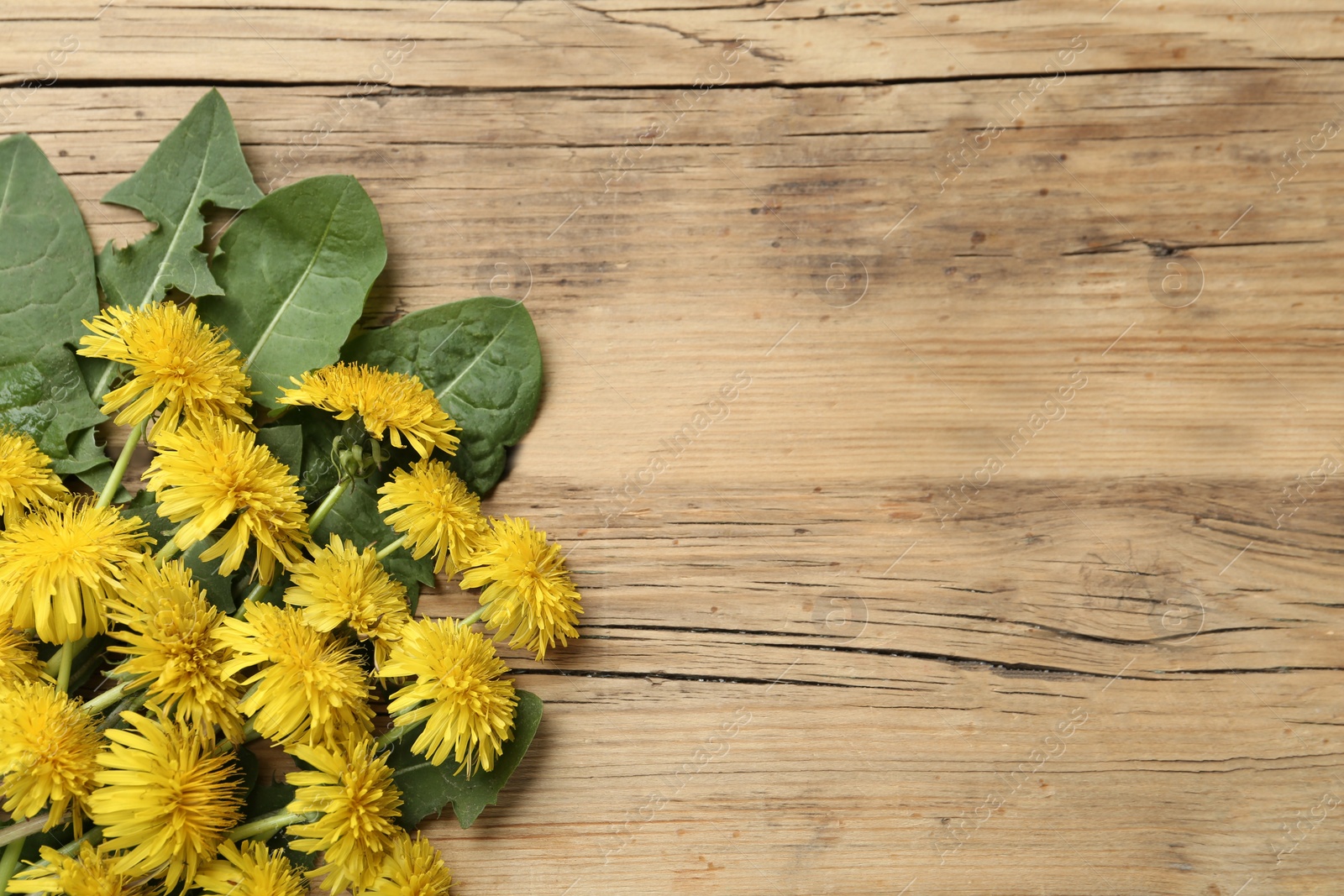 Photo of Beautiful yellow dandelions and leaves on wooden table, flat lay. Space for text