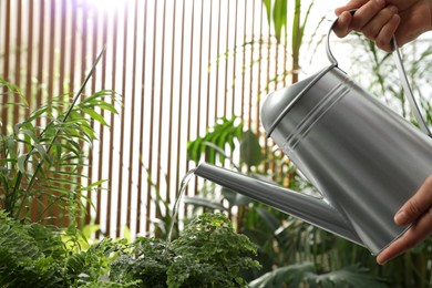 Photo of Woman watering beautiful house plant from can, closeup