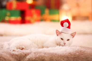 Photo of Cute white cat wearing Santa hat on fuzzy carpet in room decorated for Christmas. Adorable pet