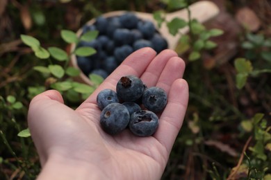 Woman holding heap of fresh ripe blueberries in forest, closeup