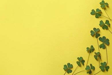 Photo of Green clover on yellow background, flat lay. Space for text