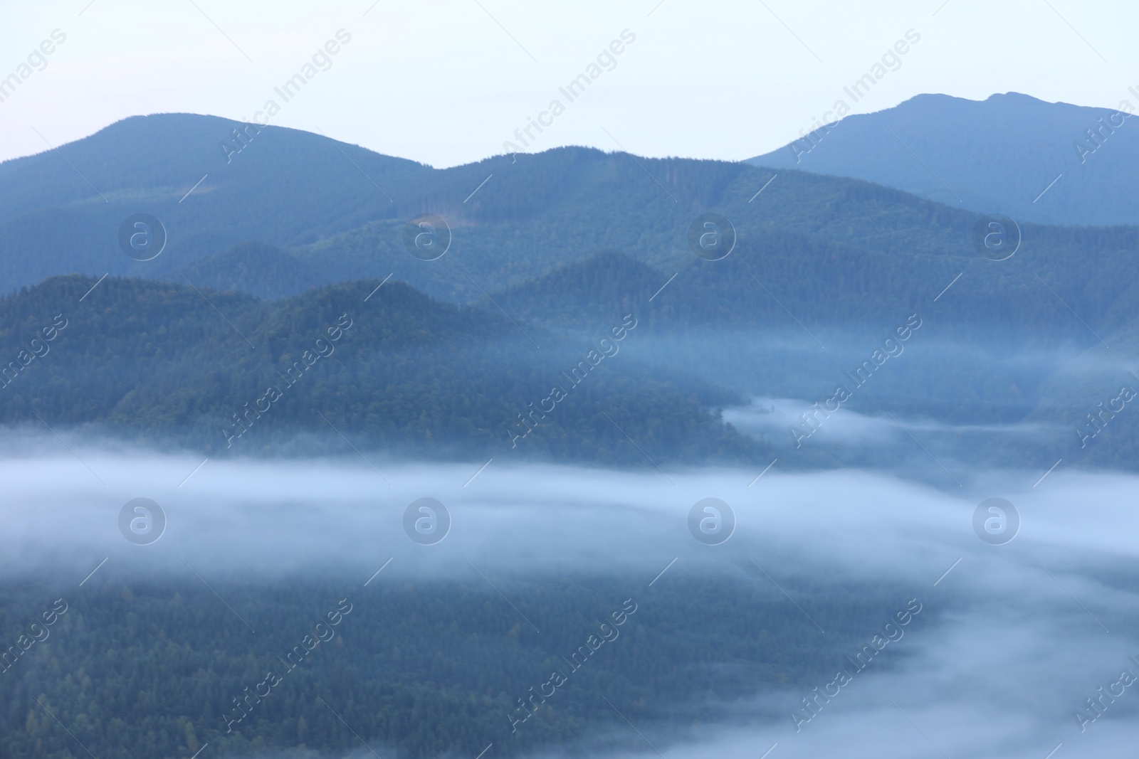 Photo of Beautiful view of foggy mountains covered with forest