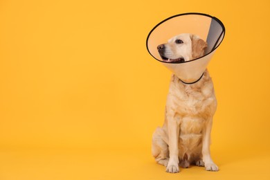 Photo of Cute Labrador Retriever with protective cone collar on orange background. Space for text