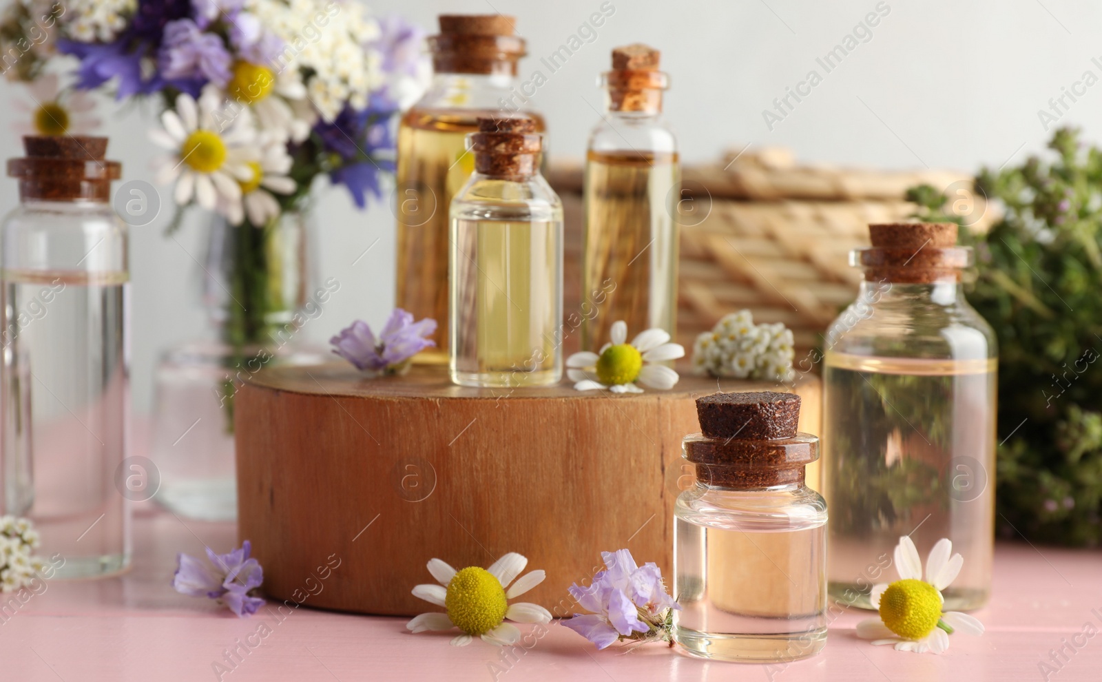 Photo of Aromatherapy. Different essential oils and flowers on pink wooden table