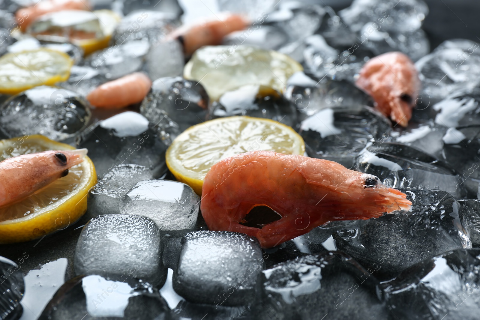 Photo of Shrimps, lemon slices and ice cubes on table