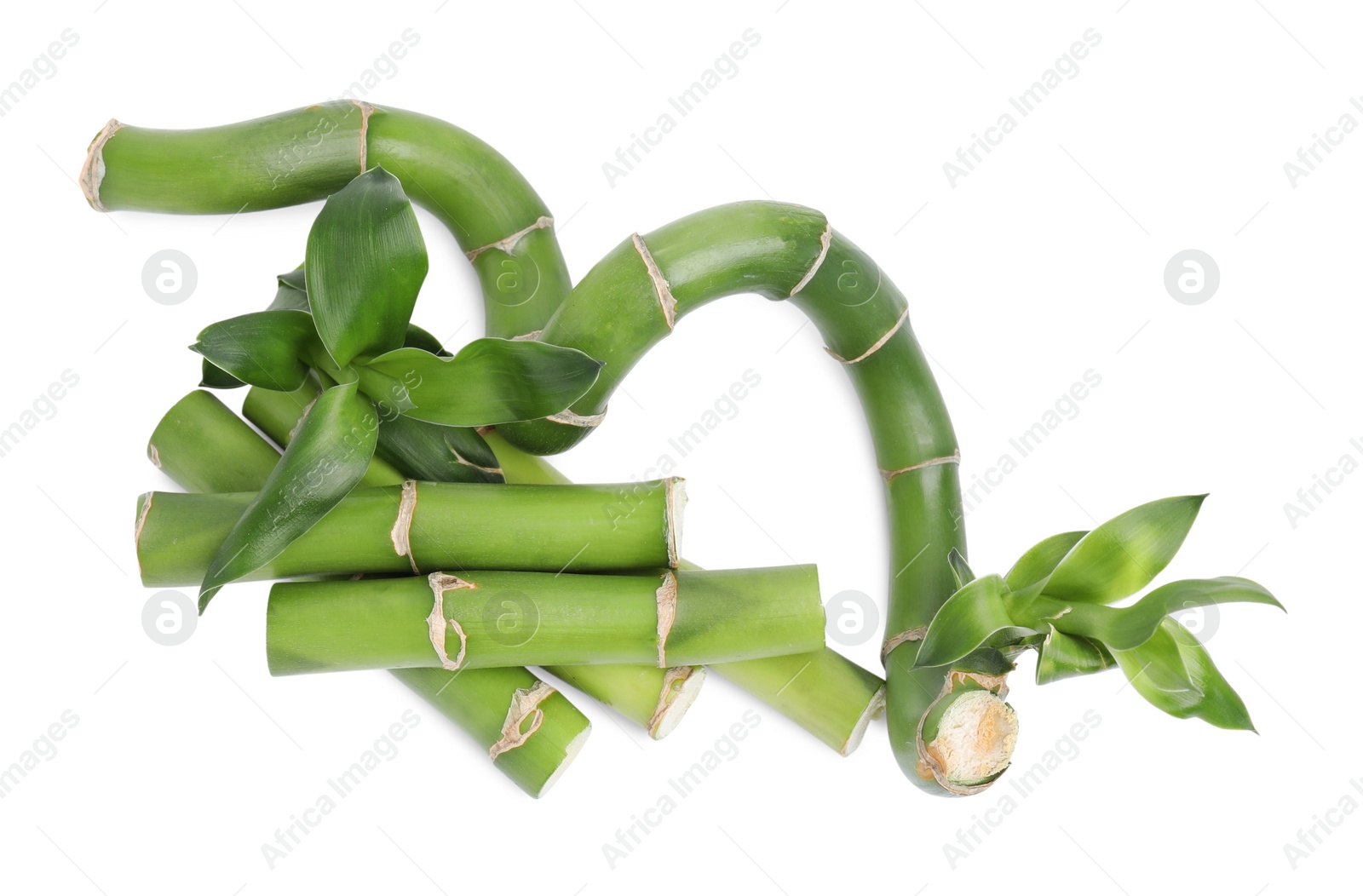 Photo of Pieces of beautiful green bamboo stems on white background, top view