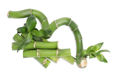 Photo of Pieces of beautiful green bamboo stems on white background, top view