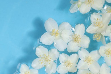 Photo of Beautiful jasmine flowers in water on light blue background, top view. Space for text