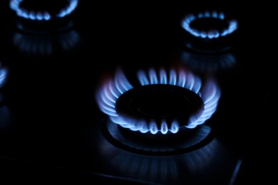 Photo of Gas burner with burning blue flames in darkness