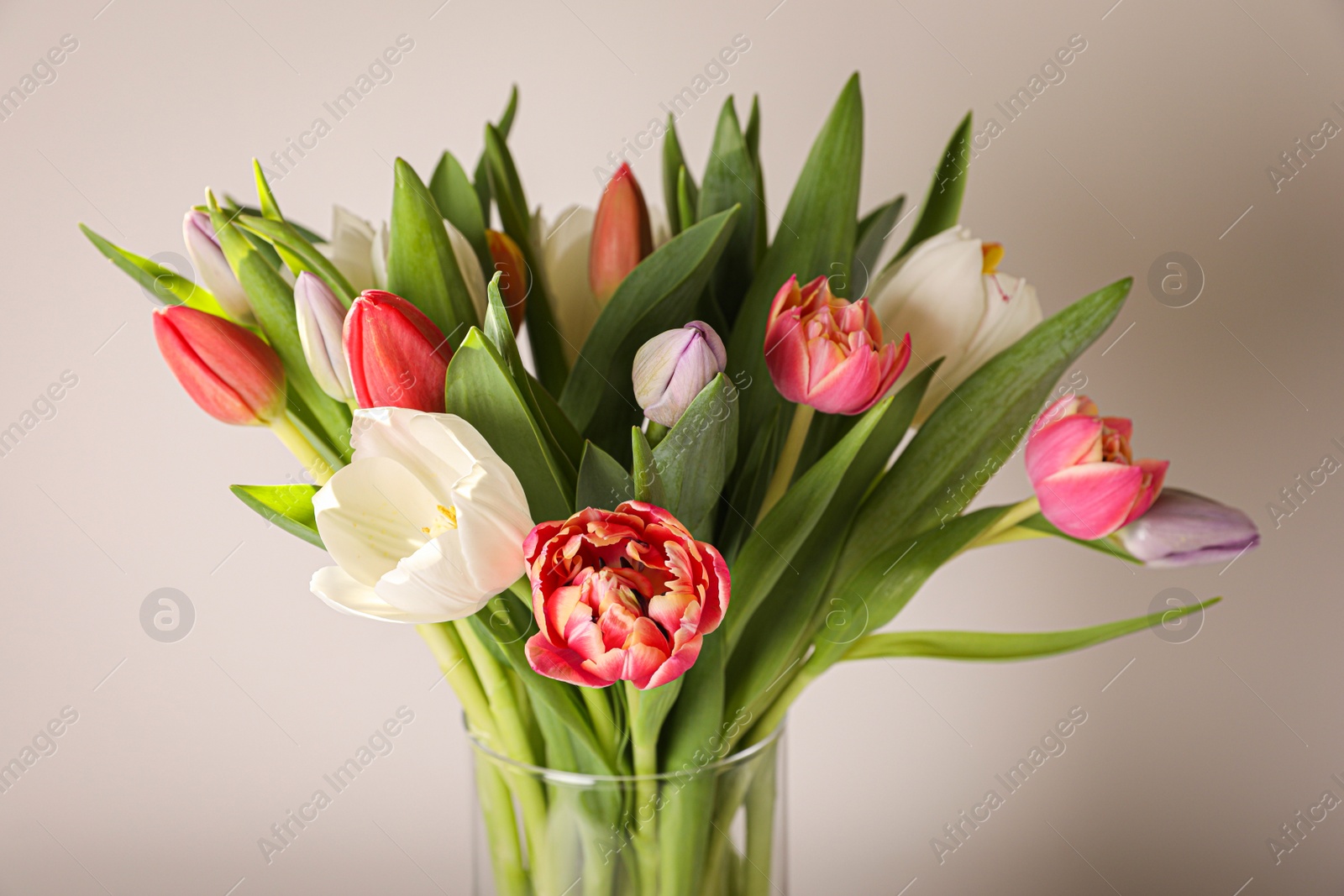 Photo of Beautiful bouquet of colorful tulips in glass vase on beige background