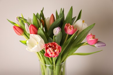 Beautiful bouquet of colorful tulips in glass vase on beige background