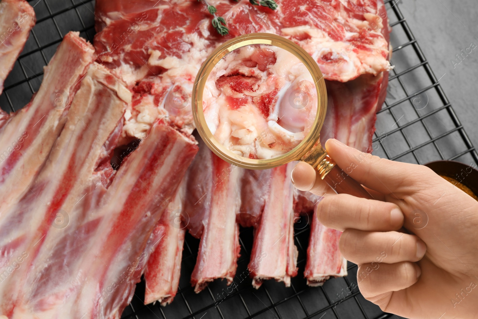 Image of Woman with magnifying glass focusing on fresh raw meat, closeup. Food control 