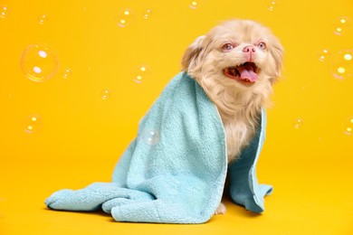 Photo of Cute Pekingese dog wrapped in towel and bubbles on yellow background. Pet hygiene
