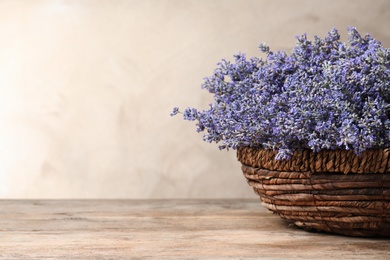 Fresh lavender flowers in basket on wooden table against beige background, space for text