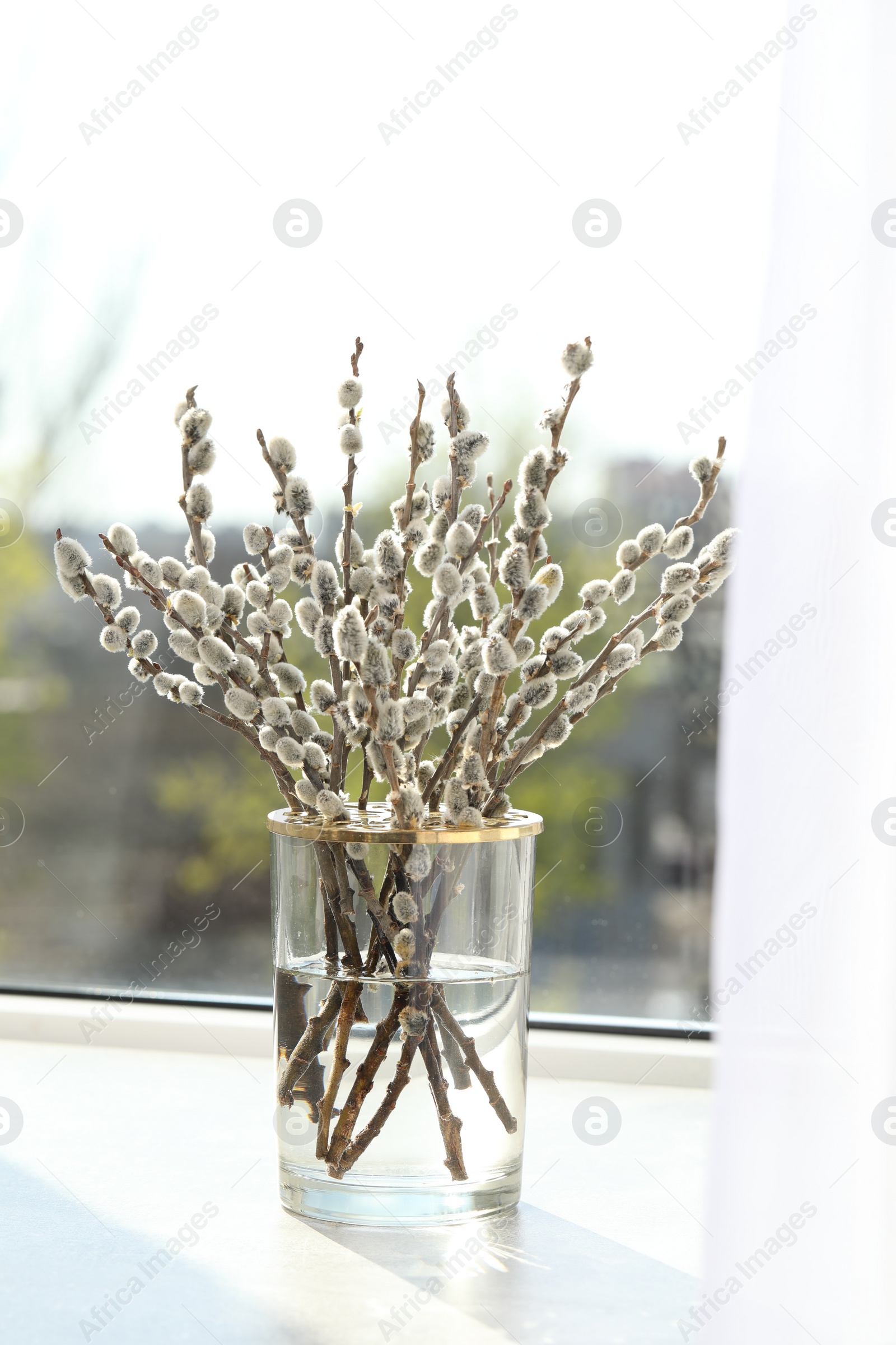 Photo of Beautiful pussy willow branches in glass vase on window sill indoors