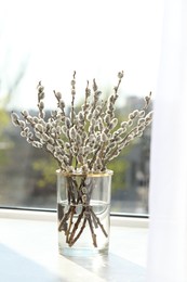 Beautiful pussy willow branches in glass vase on window sill indoors