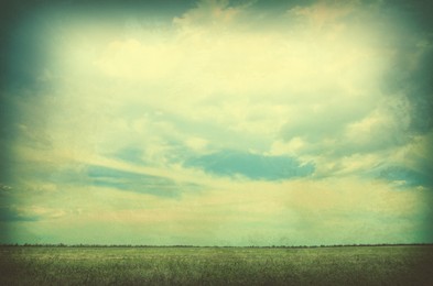 Image of Beautiful meadow with green grass and cloudy sky